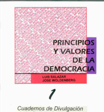 los fundamentos esenciales explorando los principios y valores de la democracia
