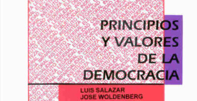 los fundamentos esenciales explorando los principios y valores de la democracia