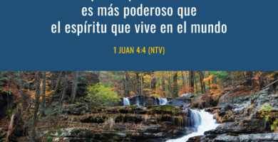 Nunca más: El significado detrás de esta poderosa frase 11 nunca mas el significado detras de esta poderosa frase